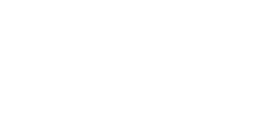 Aston Institute